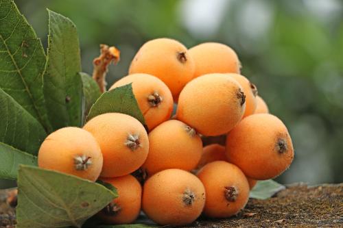 1556259376787114.jpg 1556259376787114.jpg