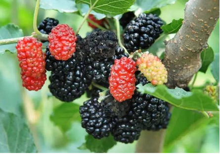 1557987547952790.png 1557987547952790.png