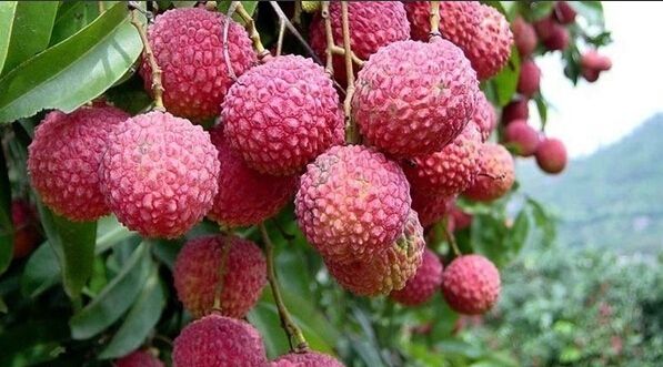 1557994980121830.jpg 1557994980121830.jpg