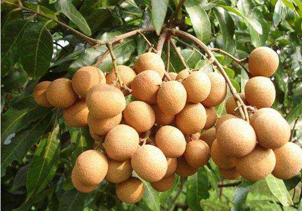 1557995087492229.jpg 1557995087492229.jpg