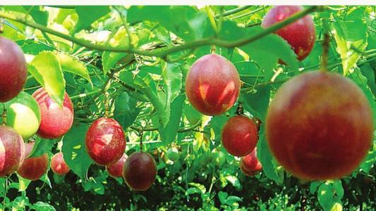 1558056254764021.jpg 1558056254764021.jpg