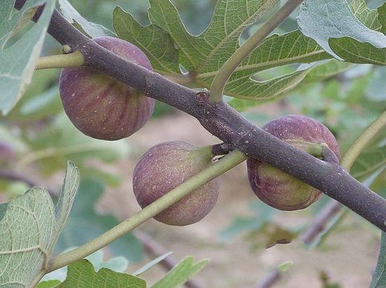 1558055058170000.jpg 1558055058170000.jpg