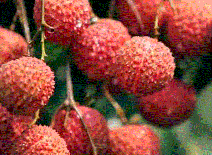 1558493498556498.gif 1558493498556498.gif