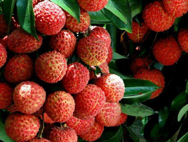 1558490960172105.jpg 1558490960172105.jpg