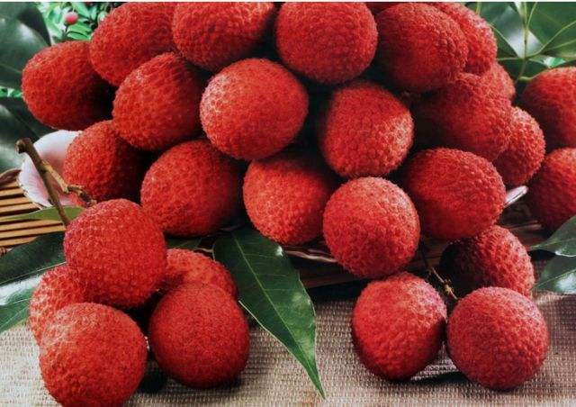 1558491048324861.jpg 1558491048324861.jpg