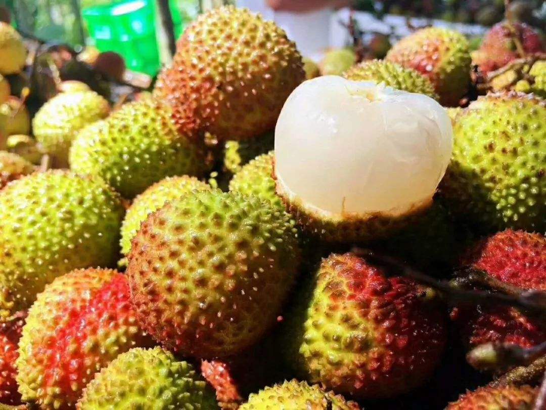 1558491028638751.jpg 1558491028638751.jpg