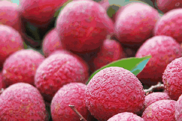 1558493436296917.gif 1558493436296917.gif