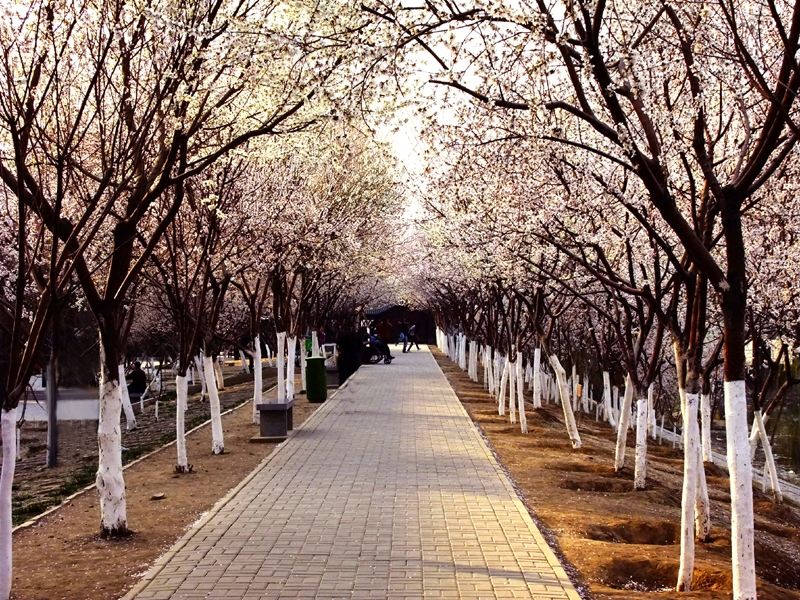 1593653709238802.jpg 1593653709238802.jpg