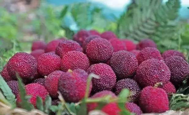 1558074508600395.jpg 1558074508600395.jpg