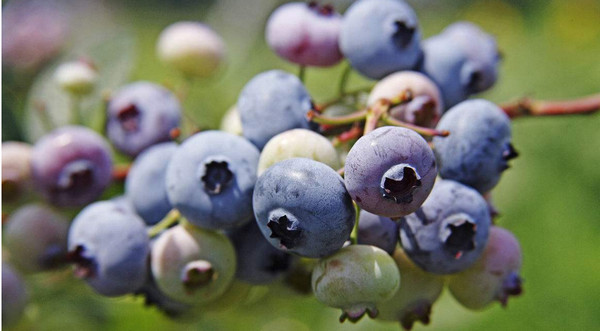 1558073499641647.jpg 1558073499641647.jpg