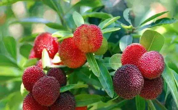 1558074486361194.jpg 1558074486361194.jpg