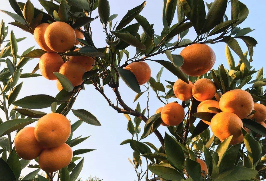 1558076896630411.png 1558076896630411.png