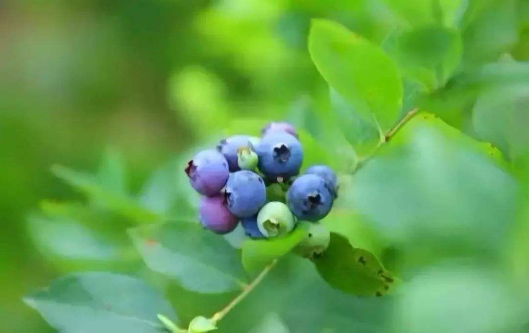 1558073975163817.jpg 1558073975163817.jpg