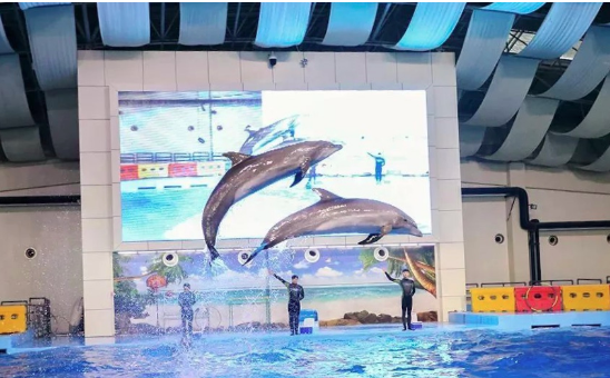 1593741322522304.png 1593741322522304.png