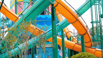 1561705755290745.gif 1561705755290745.gif