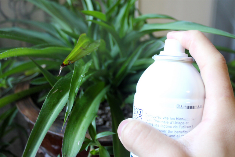 1558522334511804.png 1558522334511804.png