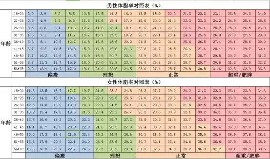 21智能体脂秤推荐 数据更准确 使用更方便 性价比更高 外观更时尚减肥健身好助手 Extrabux