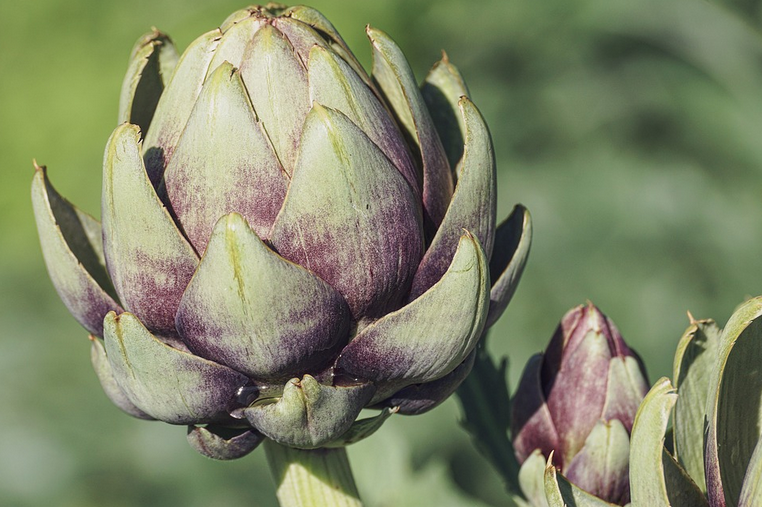 1603781286717248.png 1603781286717248.png