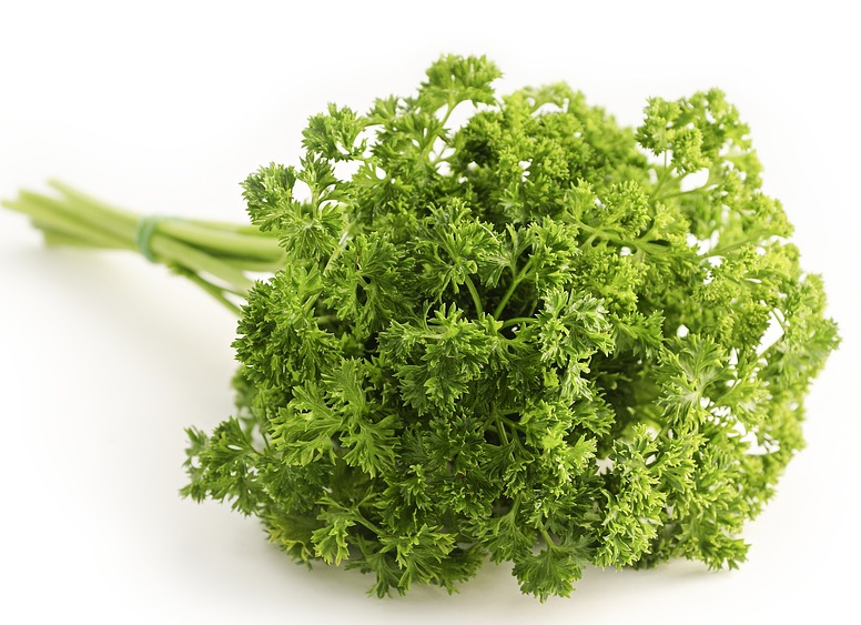 是一种名贵,高营养价值的保健蔬菜, 在国外被誉为"蔬菜之皇", 刺祆