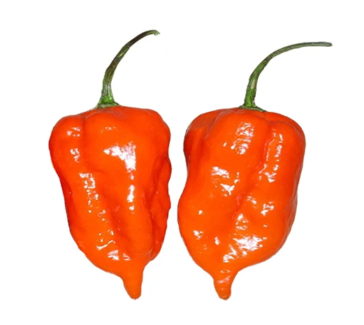 1604027834404311.png