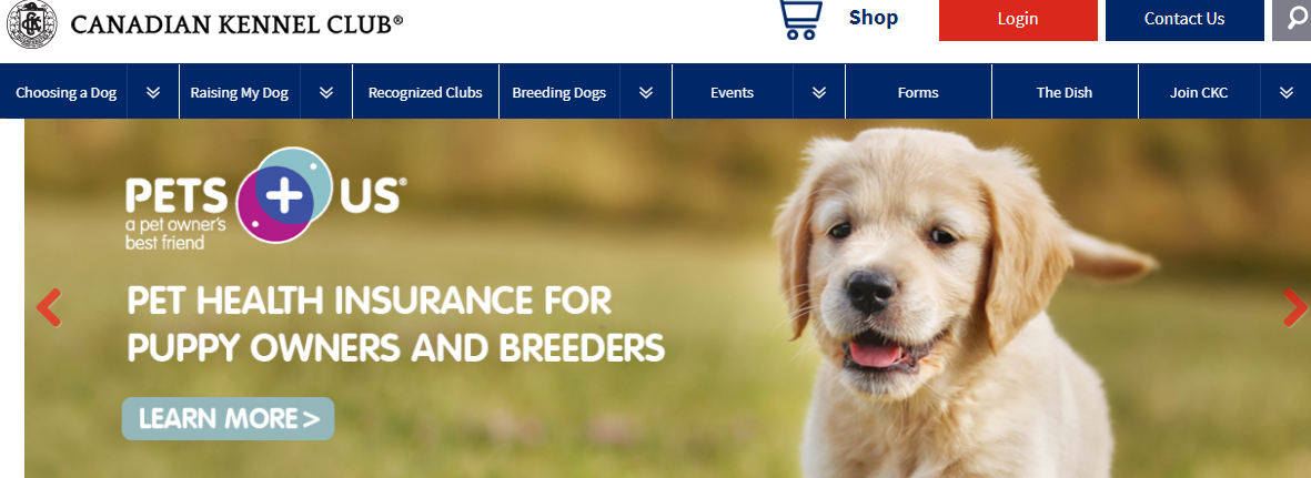 1606458976630083.png 1.png