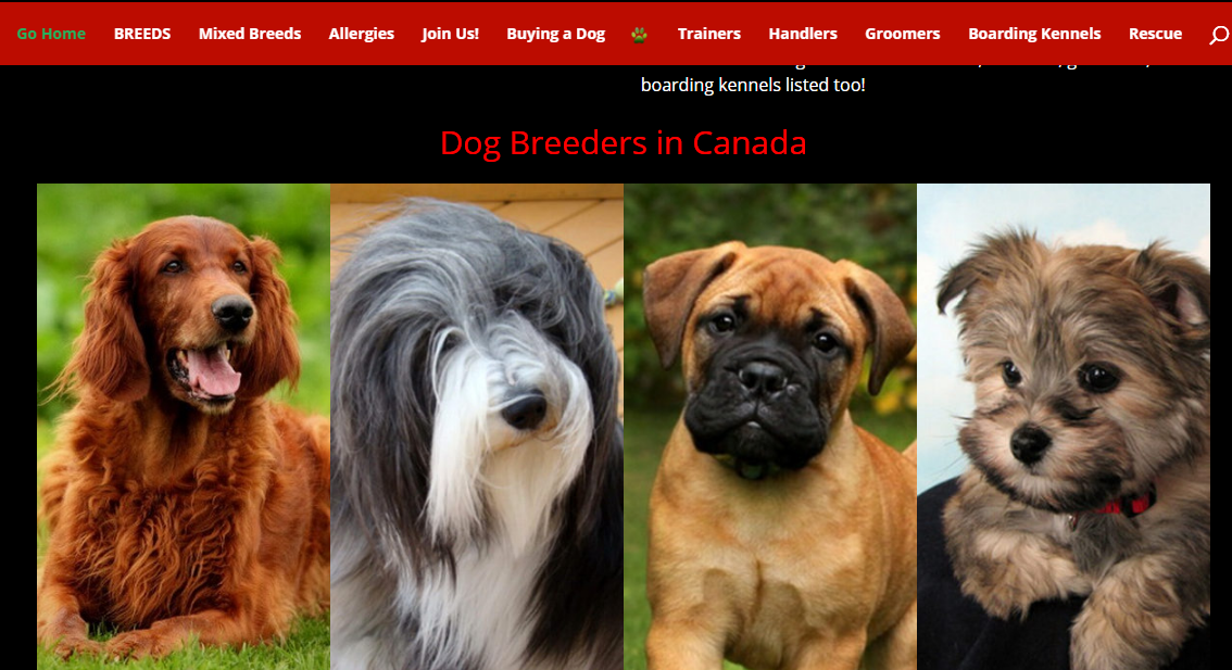 1606459828166359.png 2.png