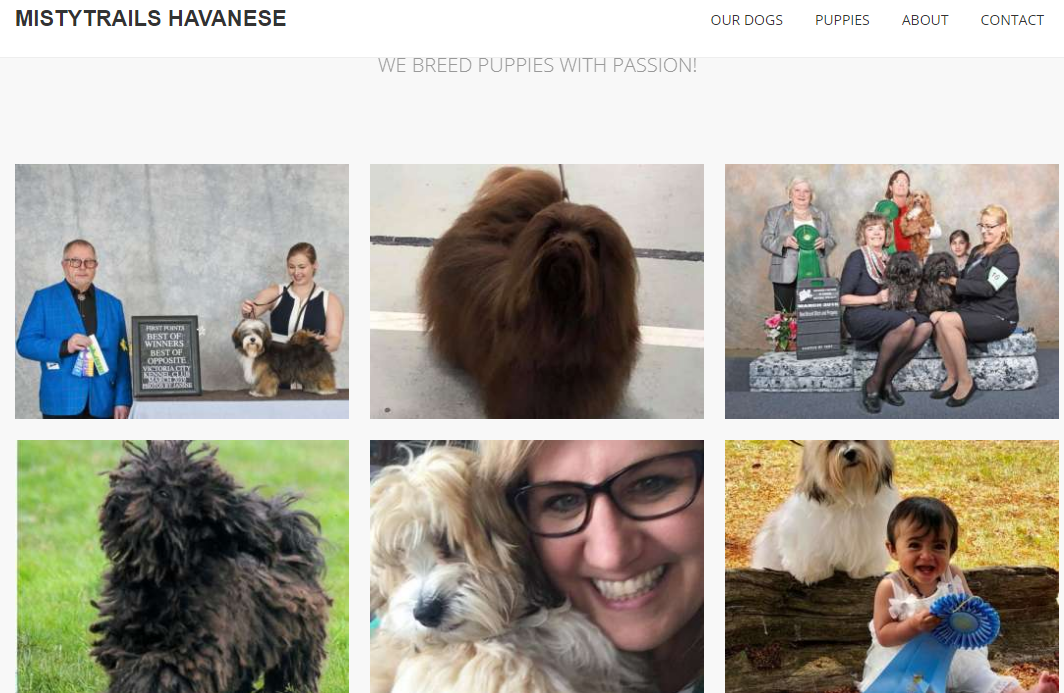 1606460640559510.png 3.png