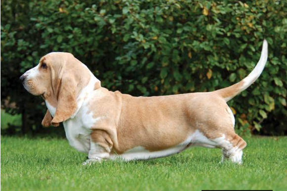 1606469228420486.png 1606469228420486.png