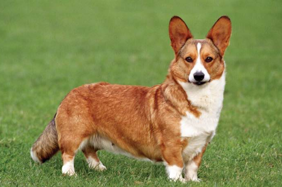 1606469246629046.png 1606469246629046.png