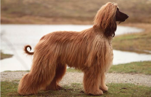 1606469235354758.png 1606469235354758.png