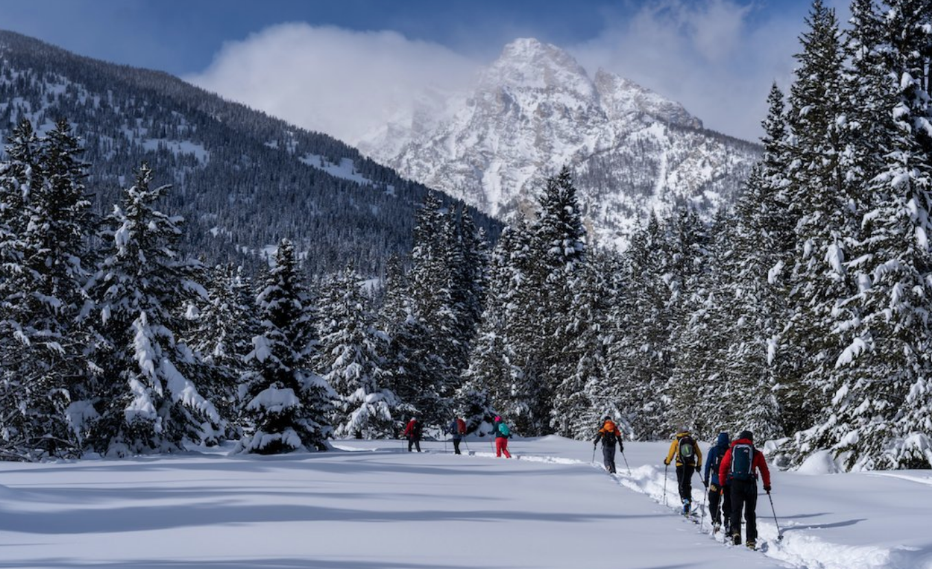 1606898196445537.png 1606898196445537.png