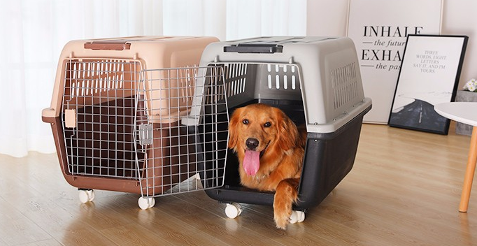 硬质带轮宠物航空箱