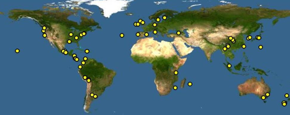 Geography of Hydrangea  Geography of Hydrangea