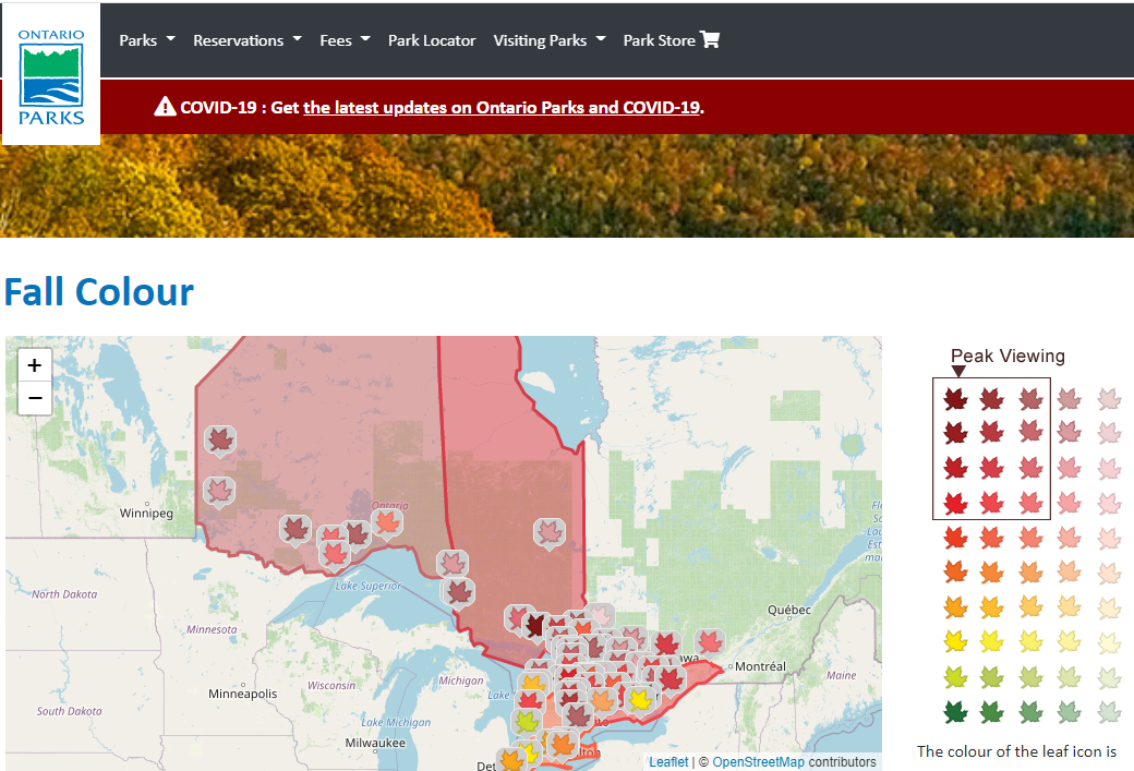 Canada Fall Foliage Prediction Map World Map Hot Sex Picture