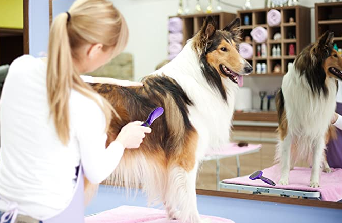 Hertzko 宠物毛刷