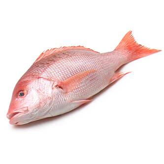 1604720505517111.jpg