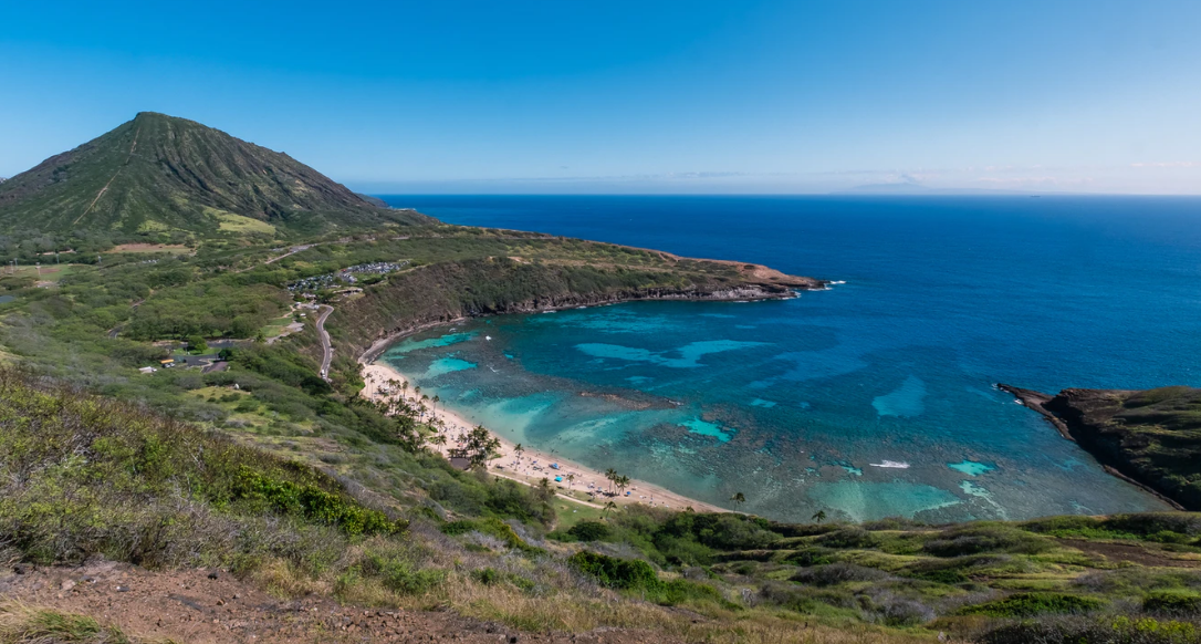 1608196185850574.png 1608196185850574.png