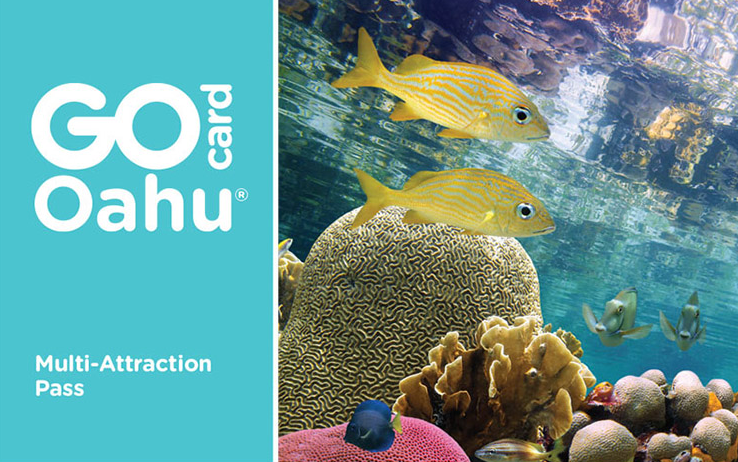 1581669432386229.png 1581669432386229.png