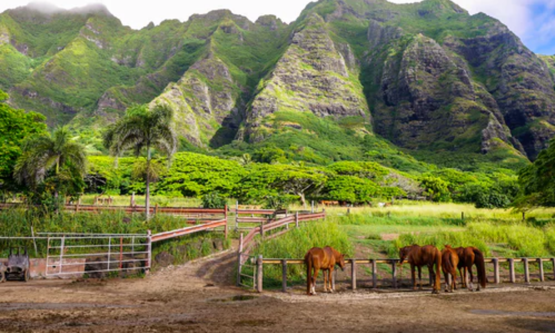 1608194949940650.png 1608194949940650.png