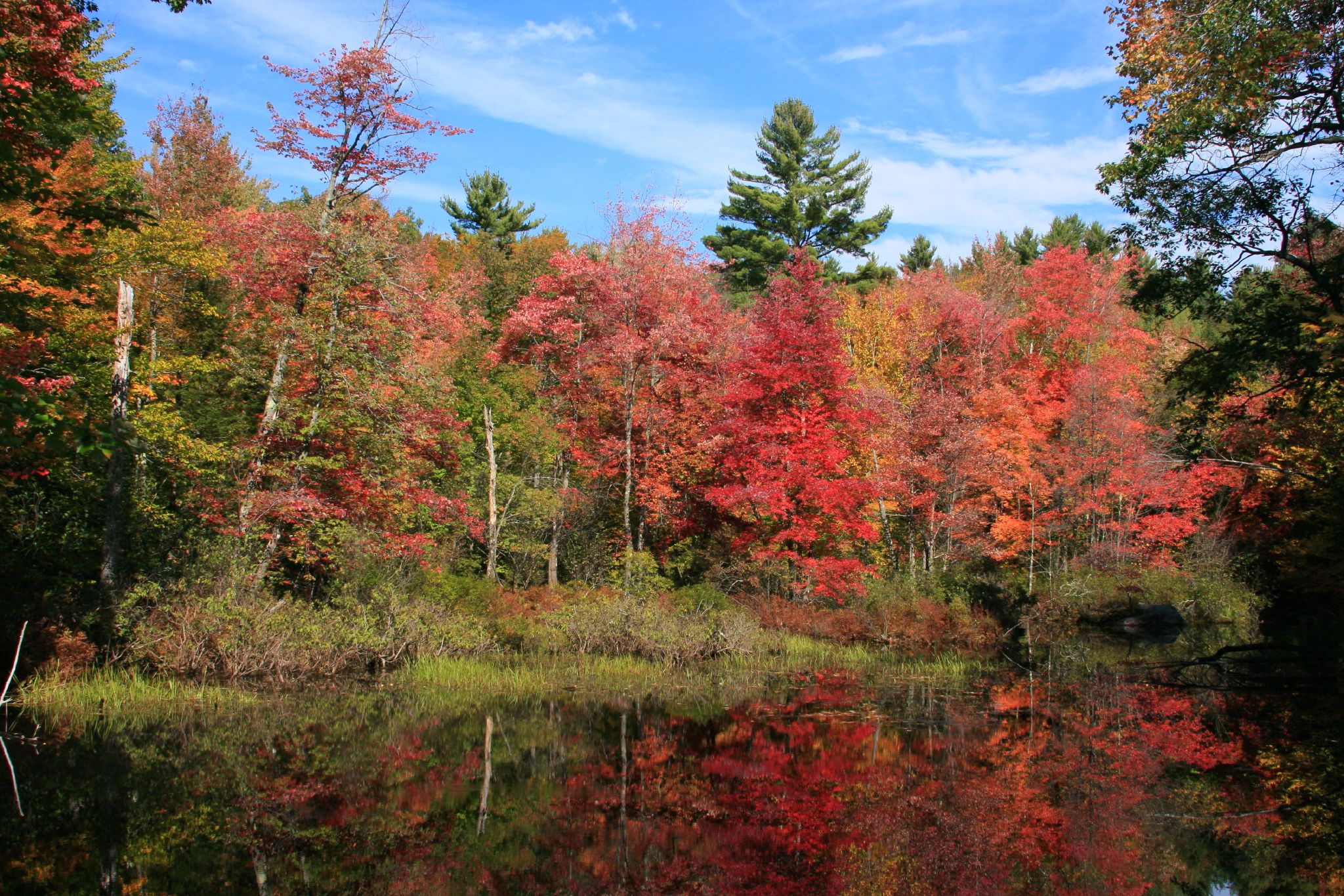 8 Best Places to See Fall Foliage in the USA 2024 (Best Time) - Extrabux