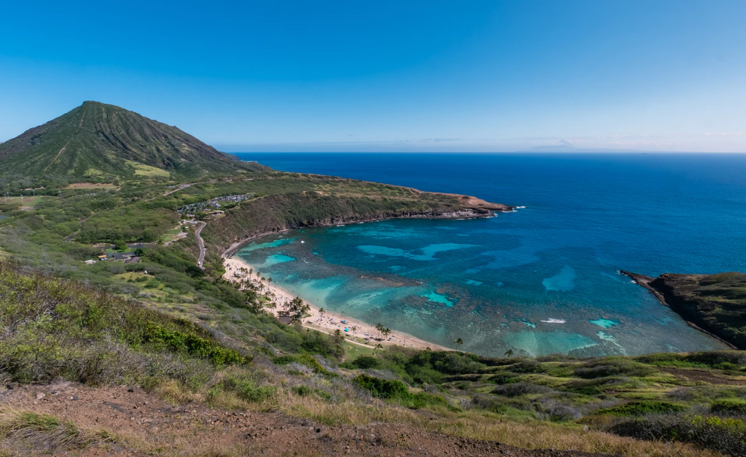 com,版权属于amanda phung地址:honoluluhi 96825 usa交通:乘坐22路