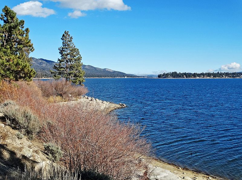 1608359709376049.png 1608359709376049.png