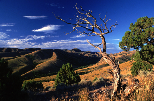 1591866708203035.png image.png