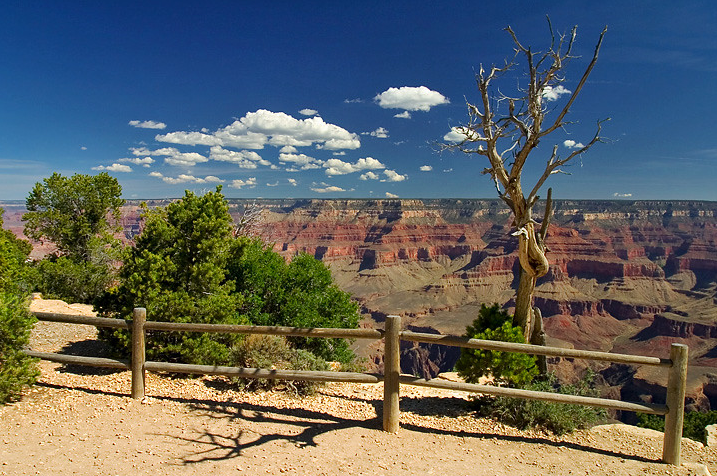 1608359530774527.png 1608359530774527.png