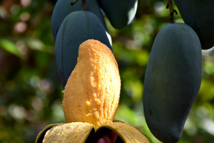 1608693819781330.png image.png