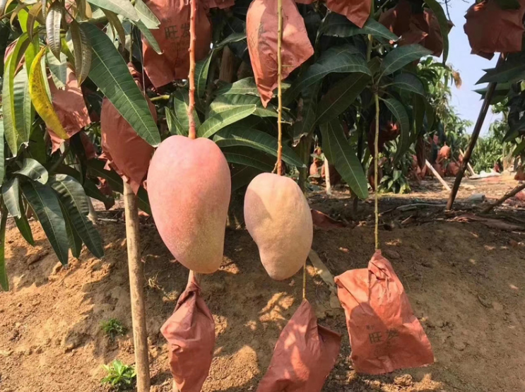 1608693741575233.png image.png