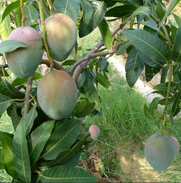 1560133505740268.png 1560133505740268.png