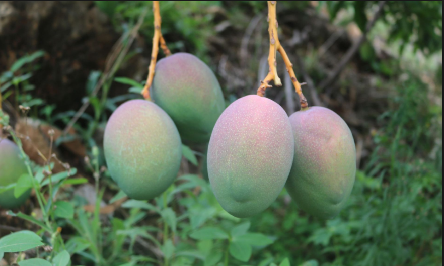 1560133000429990.png 1560133000429990.png