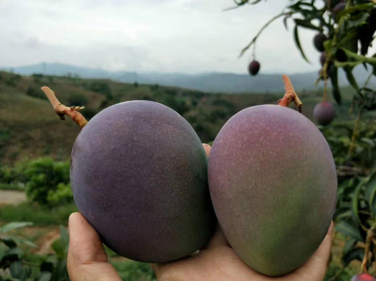 1608694013792762.png image.png