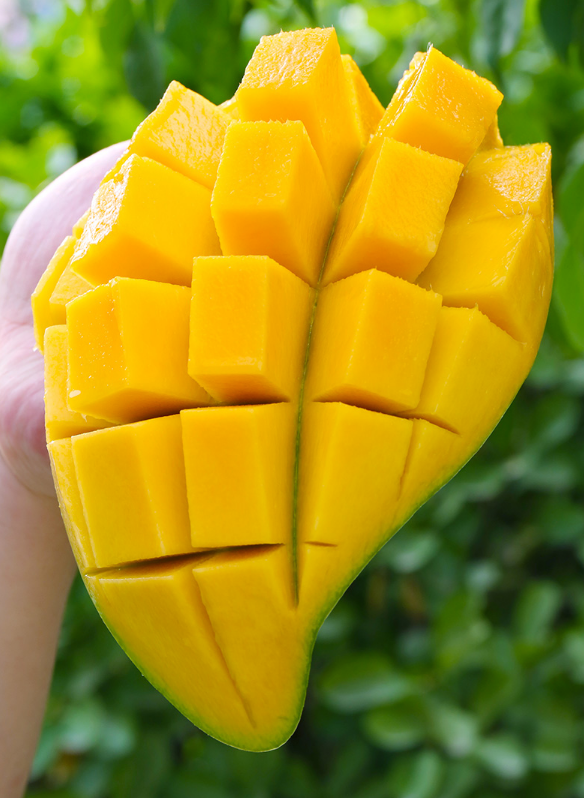 1608693981781472.png image.png